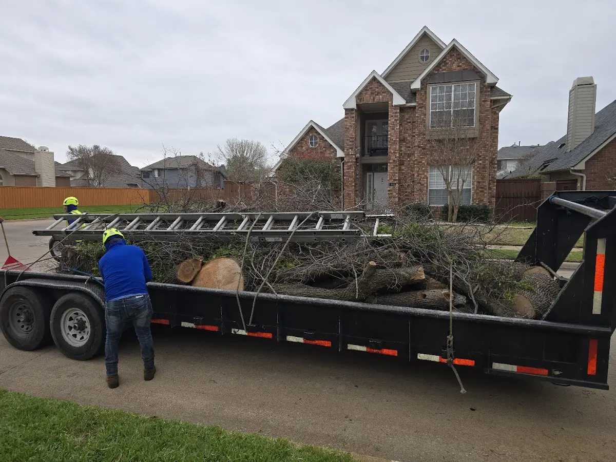 Expert Tree Fertilization with proper safety equipment in Catron